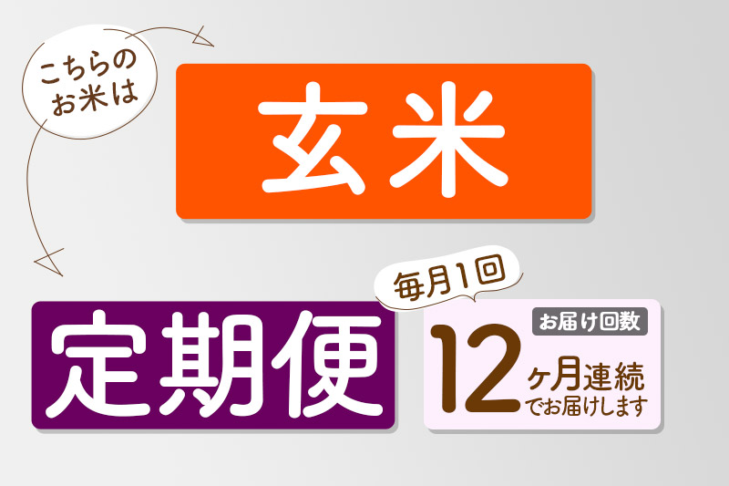 【玄米】＜令和7年産＞ 《定期便12ヶ月》秋田県産 あきたこまち 20kg (5kg×4袋)×12回 20キロ お米 匠  [サンファーム西木]