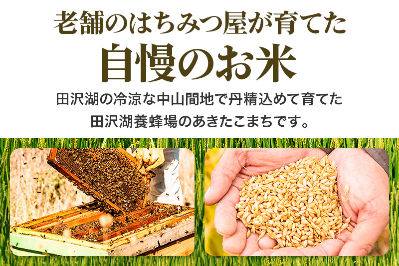 先行予約※10月中旬頃〜発送【玄米】令和6年産 新米 先行受付 秋田県産 あきたこまち 30kg 30キロ お米 仙北市