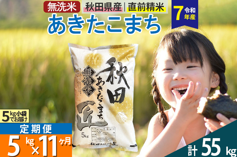 【無洗米】＜令和7年産＞《定期便11ヶ月》秋田県産 あきたこまち 匠 5kg (5kg×1袋) ×11回 5キロ お米