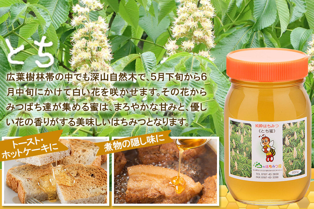 国産 はちみつ トチ 600g 2本セット 山のはちみつ屋 [はちみつ ハチミツ 蜂蜜 栃 とち]