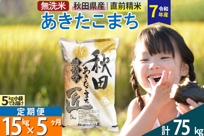 【無洗米】＜令和7年産＞《定期便5ヶ月》秋田県産 あきたこまち 匠 15kg (5kg×3袋) ×5回 15キロ お米