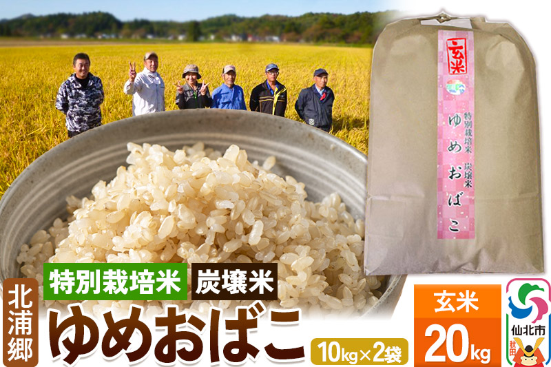 【特別栽培米 炭壌米 ゆめおばこ】令和5年産 玄米 10kg 2袋