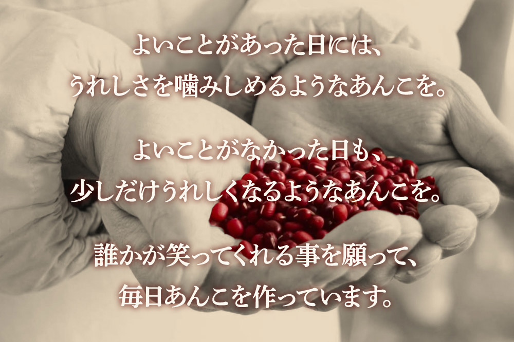 蜜漬け豆 170g×3袋 秋田県 仙北市 和菓子 製菓材料