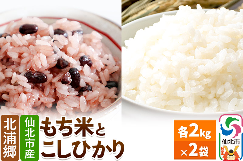 仙北市産 もち米とこしひかりのセット 令和6年産 各2kg 2袋