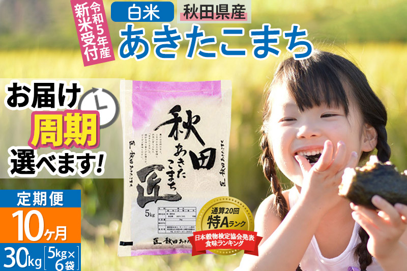 白米 《定期便10ヶ月》令和5年産 新米受付 秋田県産 あきたこまち 30kg