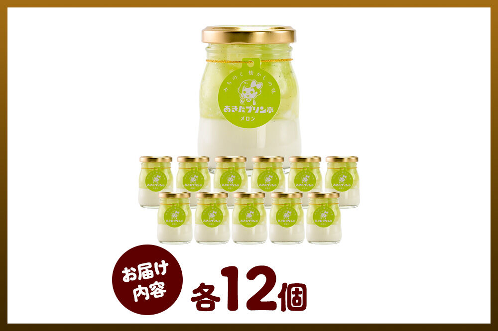 あきたプリン亭 メロンプリンセット 12個入り [手作り あきたプリン亭 ぷりん メロン お菓子 洋生菓子 洋菓子 高級 お取り寄せ スイーツ ギフト プレゼント 詰め合わせ]