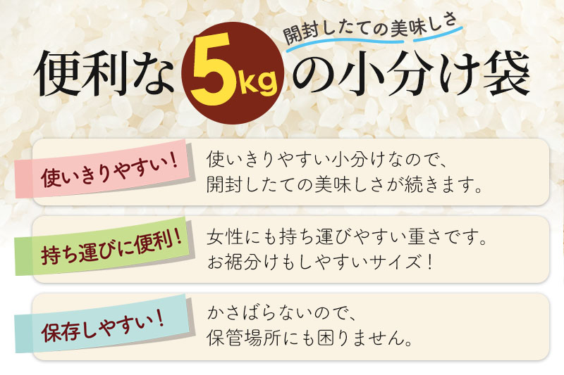 【玄米】＜令和7年産＞ 《定期便11ヶ月》秋田県産 あきたこまち 20kg (5kg×4袋)×11回 20キロ お米 匠  [サンファーム西木]