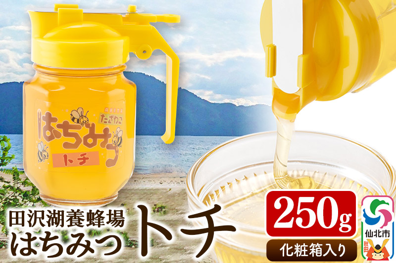 秋田県産はちみつ トチ250g 化粧箱入り 田沢湖養蜂場