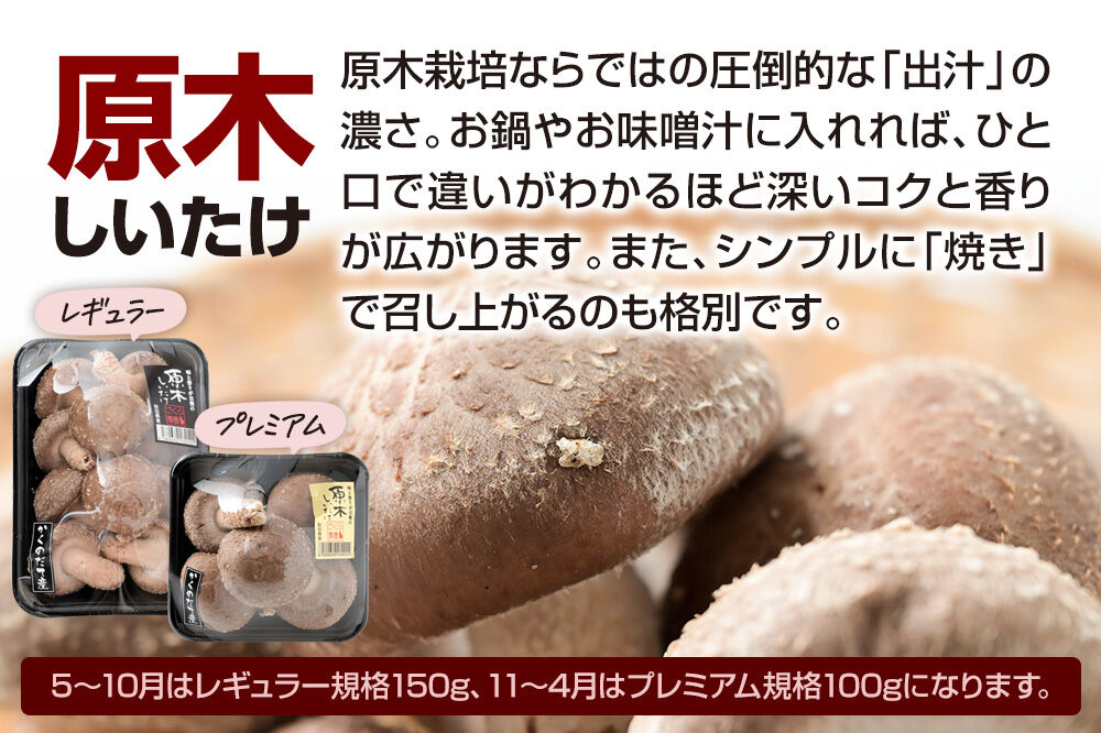 みちのくの小京都・角館が育んだ「おまかせセット」（桜えのき、原木しいたけ、生きくらげ、乾燥きくらげ、訳あり出汁取り用乾燥しいたけ、訳あり乾燥きくらげ）合計約700g(6品前後) [きのこ えのき エノキ しいたけ 椎茸 シイタケきくらげ 木耳 キクラゲ 園主おすすめ 生 乾燥 出汁 訳あり 秋田県 仙北市 角館]