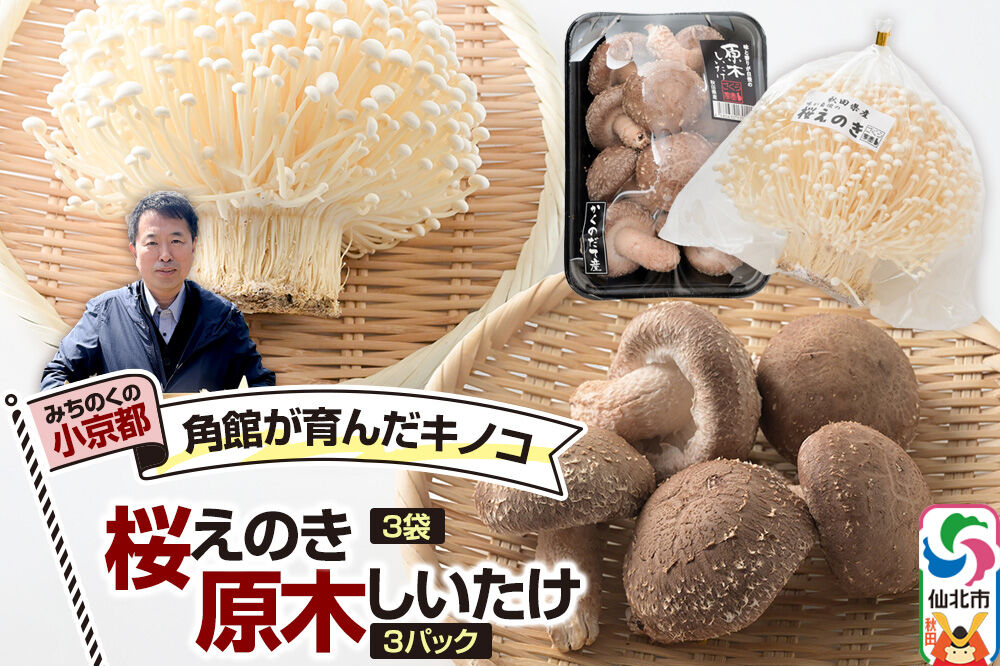 みちのくの小京都・角館が育んだ「2種セット」（桜えのき約300g×3袋、原木しいたけ×3パック） [えのき エノキ しいたけ 椎茸 シイタケ 秋田県 仙北市 角館]