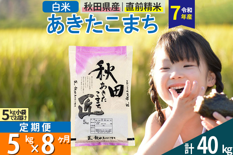 【白米】＜令和7年産＞ 《定期便8ヶ月》秋田県産 あきたこまち 匠 5kg (5kg×1袋)×8回 5キロ お米