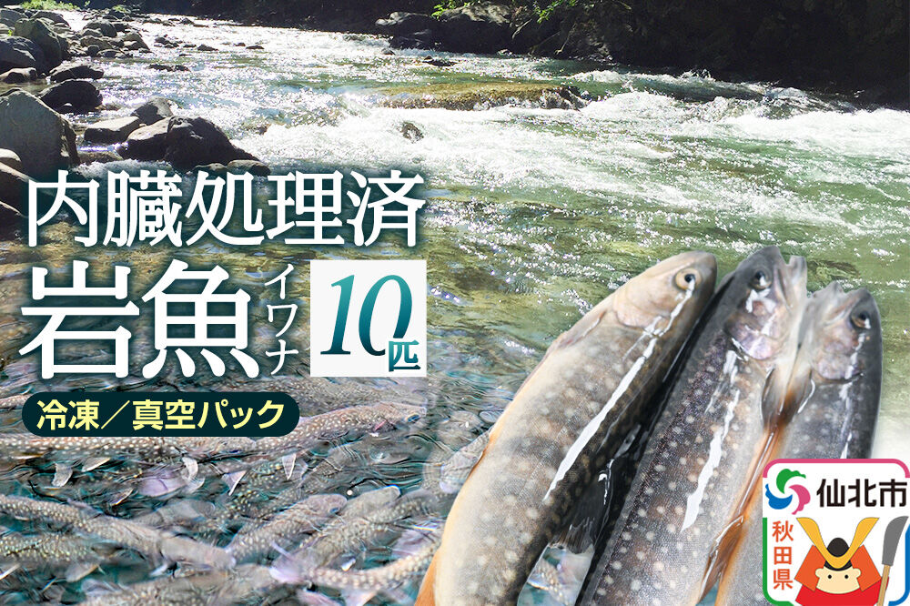 岩魚（イワナ）冷凍 内臓処理済み 10匹 長四郎