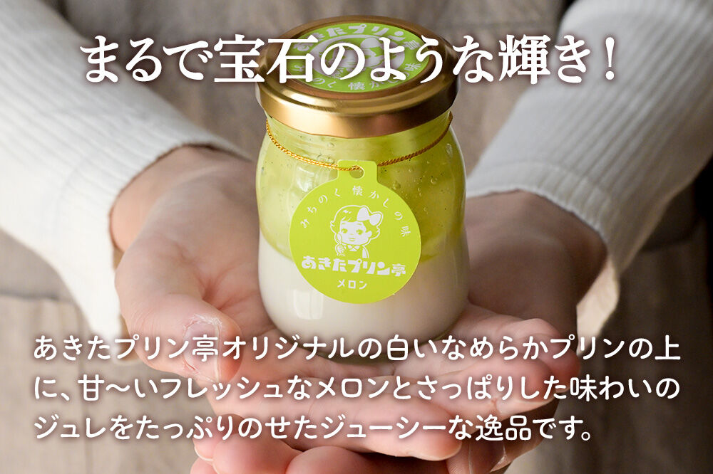 あきたプリン亭 食べ比べ！メロン＆なめらかプリンセット 各6個 計12個入り [手作り あきたプリン亭 ぷりん メロン なめらか お菓子 洋生菓子 洋菓子 高級 お取り寄せ スイーツ ギフト プレゼント 詰め合わせ]