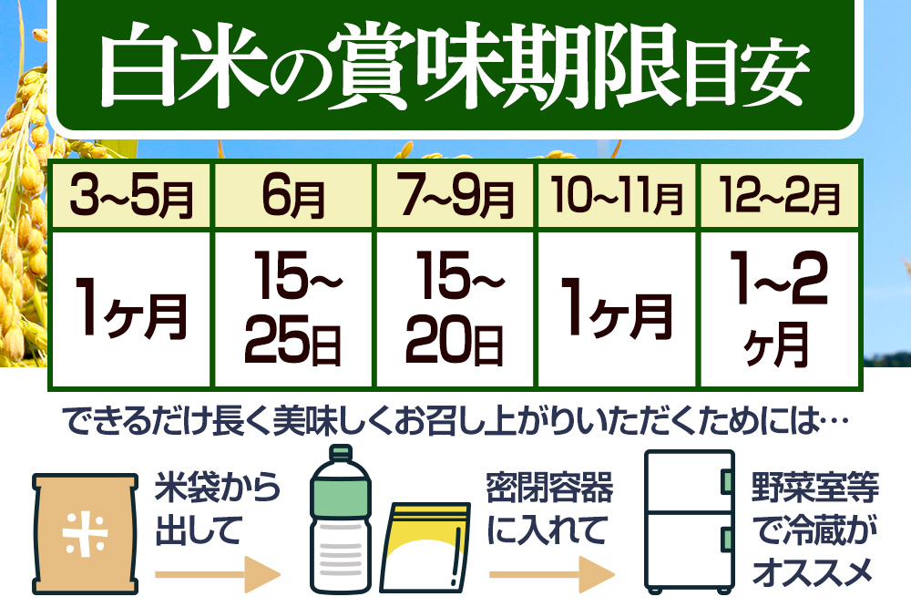 【白米】＜令和8年産 新米予約＞ 《定期便3ヶ月》秋田県産 あきたこまち 20kg (5kg×4袋)×3回 20キロ お米 匠 