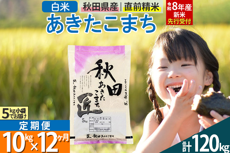 【白米】＜令和8年産 新米予約＞ 《定期便12ヶ月》秋田県産 あきたこまち 10kg (5kg×2袋)×12回 10キロ お米 匠