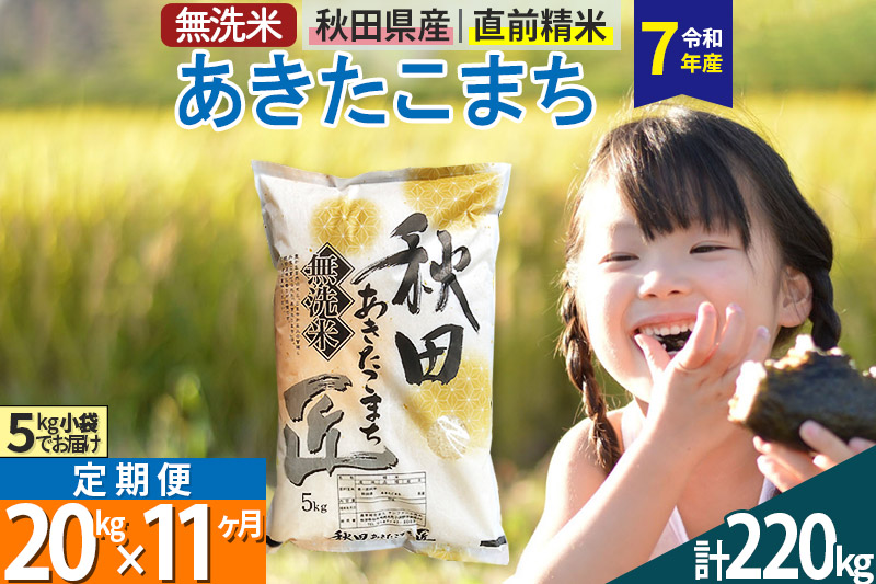 【無洗米】＜令和7年産＞《定期便11ヶ月》秋田県産 あきたこまち 匠 20kg (5kg×4袋) ×11回 20キロ お米