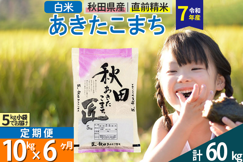 【白米】＜令和7年産＞ 《定期便6ヶ月》秋田県産 あきたこまち 10kg (5kg×2袋)×6回 10キロ 匠 お米 
