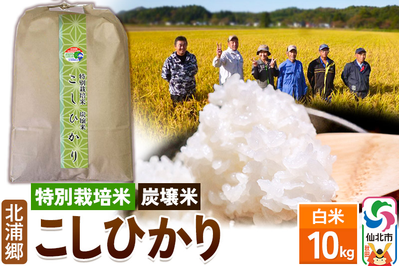 【特別栽培米 炭壌米 こしひかり】令和6年産 新米 先行受付 白米 10kg