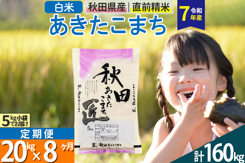 【白米】＜令和7年産＞ 《定期便8ヶ月》秋田県産 あきたこまち 匠 20kg (5kg×4袋)×8回 20キロ お米 