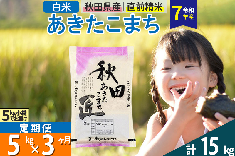 【白米】＜令和7年産＞ 《定期便3ヶ月》秋田県産 あきたこまち 匠 5kg (5kg×1袋)×3回 5キロ お米