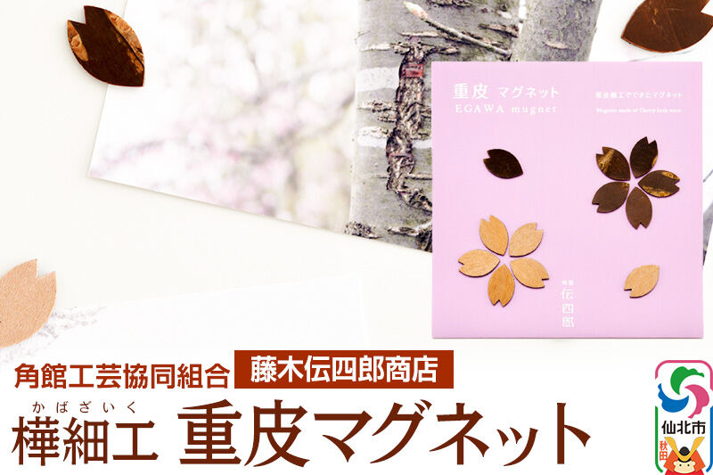 角館樺細工《藤木伝四郎商店》桜の花びらの形 重皮マグネット ゆうパケット 角館工芸協同組合 [伝統工芸品 山桜 ヤマザクラ 桜皮 樺細工 かばざいく カバザイク]