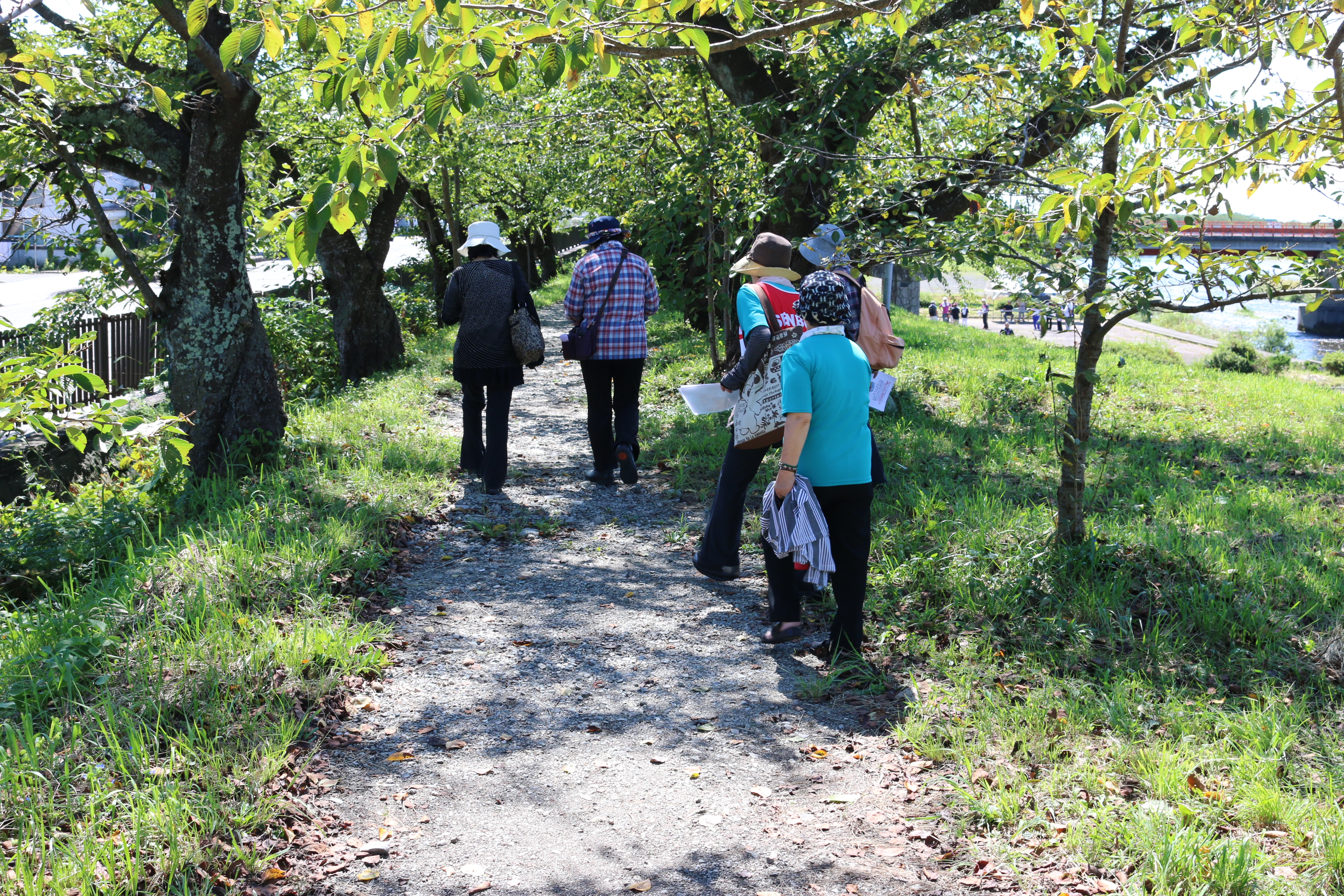 高齢者が安心に暮らすための事業