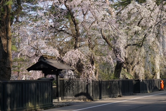 äŒçµ±æåãæ¬¡äžä»£ãžã€ãªãäºæ¥