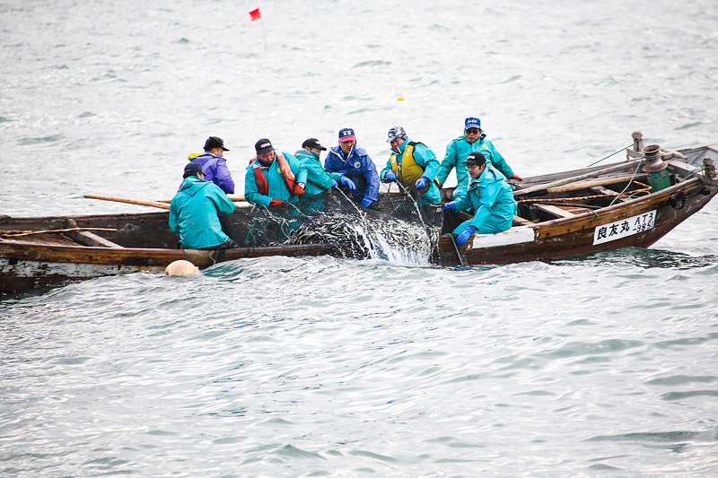 塩麹漬（魚種おまかせ）3パックセット 赤魚 ホッケ サバ 魚種おまかせ 塩こうじ 塩麹漬 食卓 おかず 鈴木水産 秋田県 八峰町