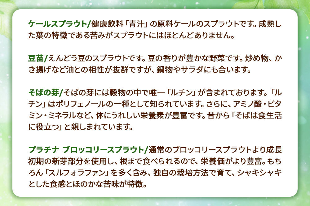 スプラウト、かいわれなど9種セット【白神山系　超軟水仕込み】　計13個 [スプラウト かいわれ カイワレ 野菜 サラダ 香草 飾り付け ベジタブル 秋田県八峰町産 国産]