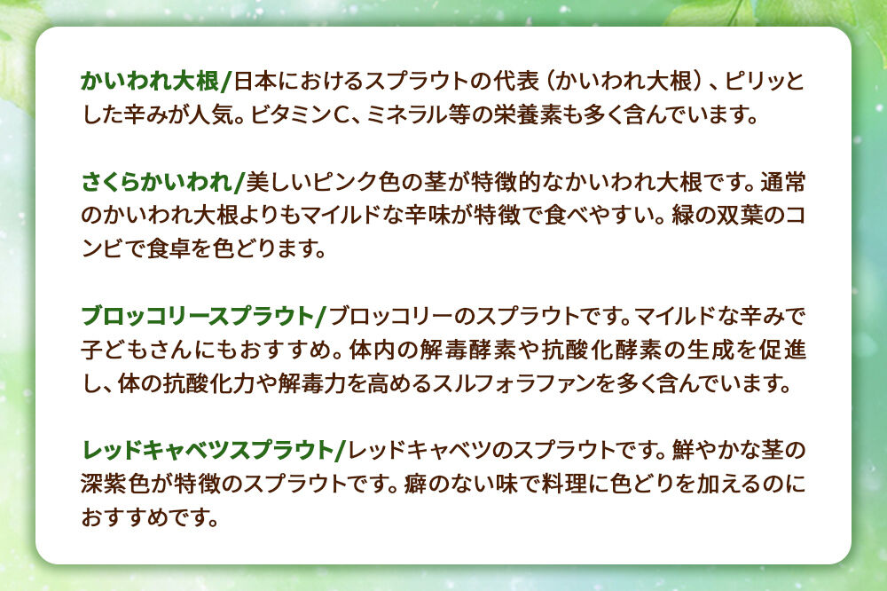 スプラウト、かいわれなど13種セット【白神山系　超軟水仕込み】　計14個 [スプラウト かいわれ カイワレ 野菜 サラダ 香草 飾り付け ベジタブル 秋田県八峰町産 国産]