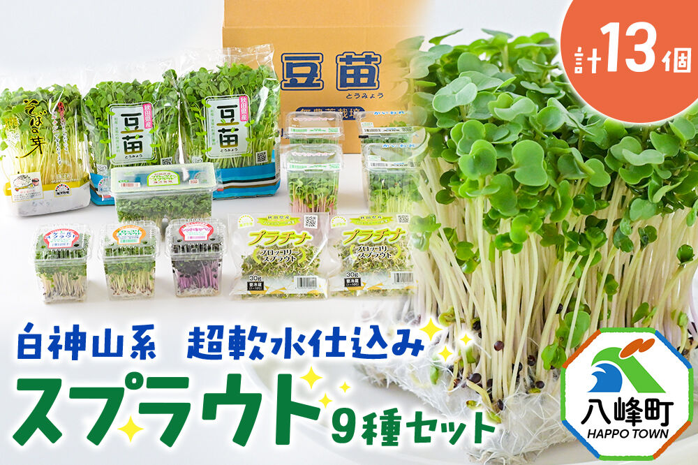 スプラウト、かいわれなど9種セット【白神山系　超軟水仕込み】　計13個 [スプラウト かいわれ カイワレ 野菜 サラダ 香草 飾り付け ベジタブル 秋田県八峰町産 国産]