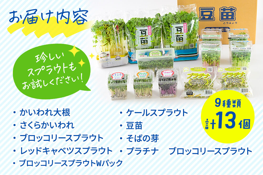 スプラウト、かいわれなど9種セット【白神山系　超軟水仕込み】　計13個 [スプラウト かいわれ カイワレ 野菜 サラダ 香草 飾り付け ベジタブル 秋田県八峰町産 国産]
