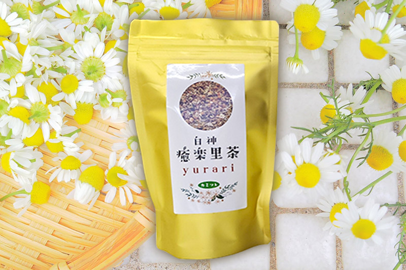 ハーブティ 白神癒楽里茶カミツレ茶（5パック入り）×5袋 カモミールティー 秋田県 八峰町