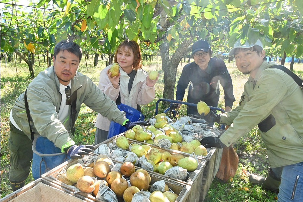 梨 ジュース やっほ〜farm なしのジュース180ml 6本セット 秋田県八峰町