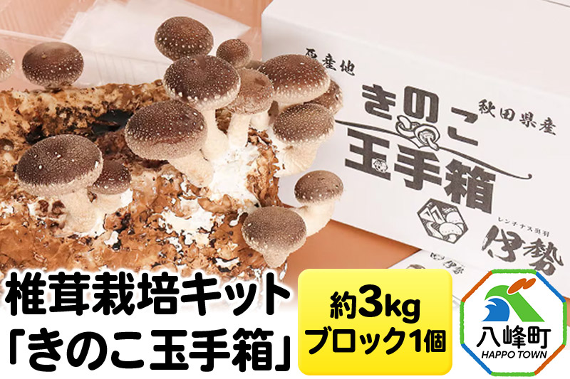 椎茸栽培キット「きのこ玉手箱」約3kg ブロック×1個