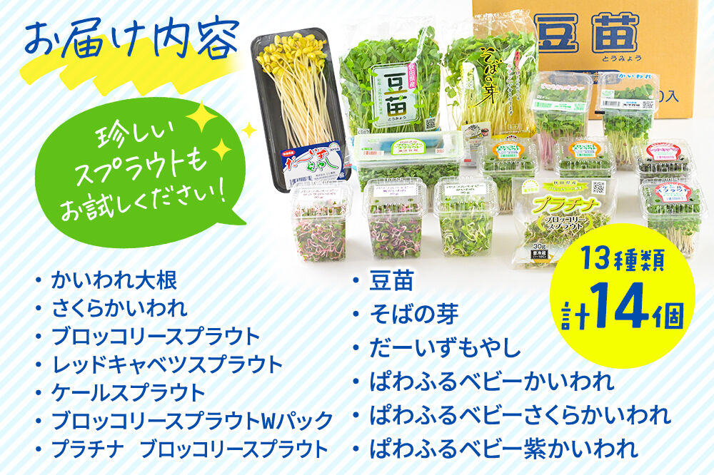 スプラウト、かいわれなど13種セット【白神山系　超軟水仕込み】　計14個 [スプラウト かいわれ カイワレ 野菜 サラダ 香草 飾り付け ベジタブル 秋田県八峰町産 国産]
