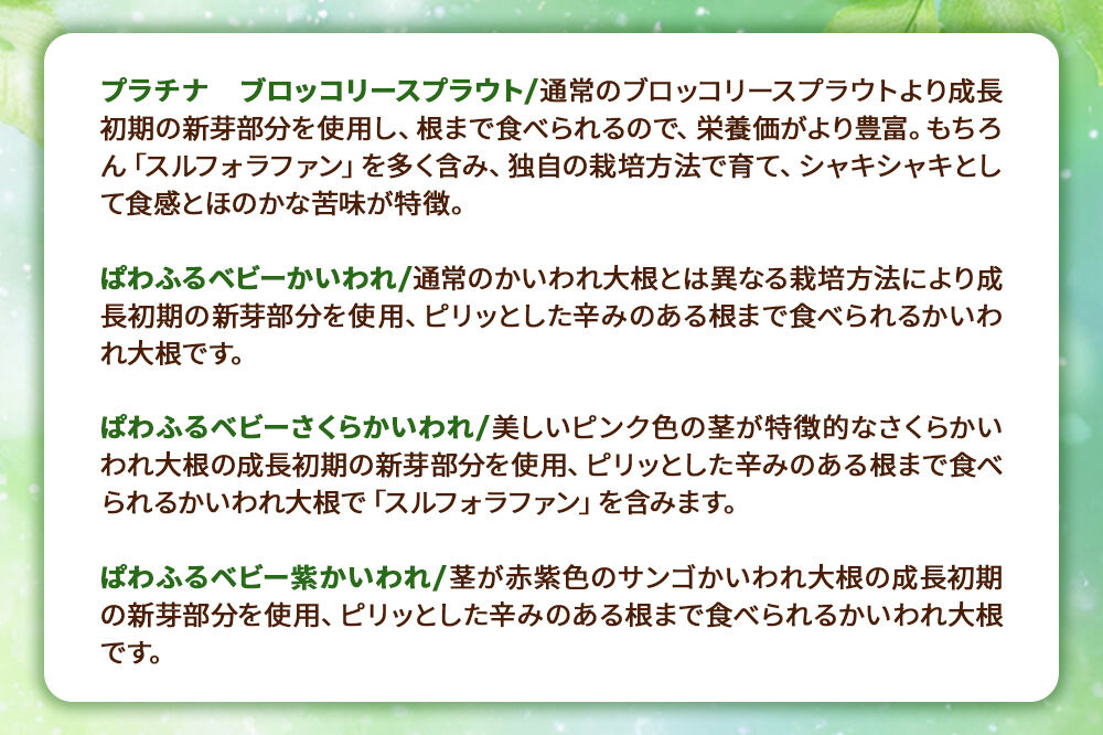 スプラウト、かいわれなど13種セット【白神山系　超軟水仕込み】　計14個 [スプラウト かいわれ カイワレ 野菜 サラダ 香草 飾り付け ベジタブル 秋田県八峰町産 国産]