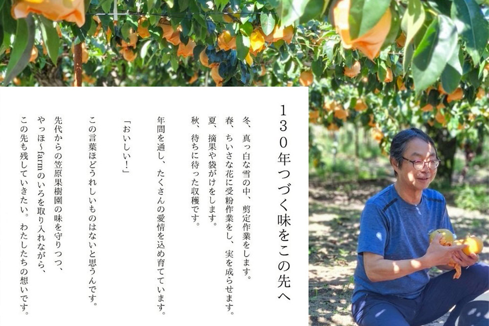 梨 ジュース やっほ〜farm なしのジュース180ml 6本セット 秋田県八峰町