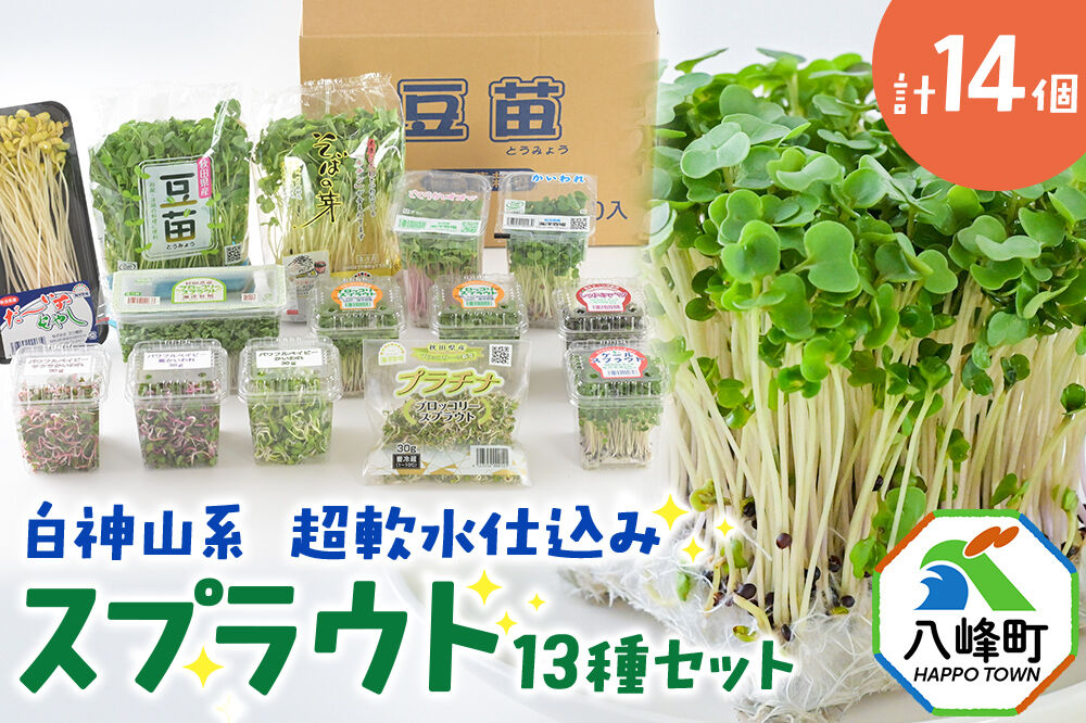 スプラウト、かいわれなど13種セット【白神山系　超軟水仕込み】　計14個 [スプラウト かいわれ カイワレ 野菜 サラダ 香草 飾り付け ベジタブル 秋田県八峰町産 国産]