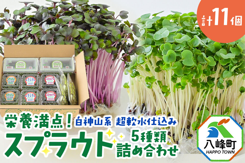 スプラウト 5種 詰め合わせ 計11個【白神山系　超軟水仕込み】栄養満点  [スプラウト かいわれ カイワレ 野菜 サラダ 香草 飾り付け ベジタブル 秋田県八峰町産 国産]