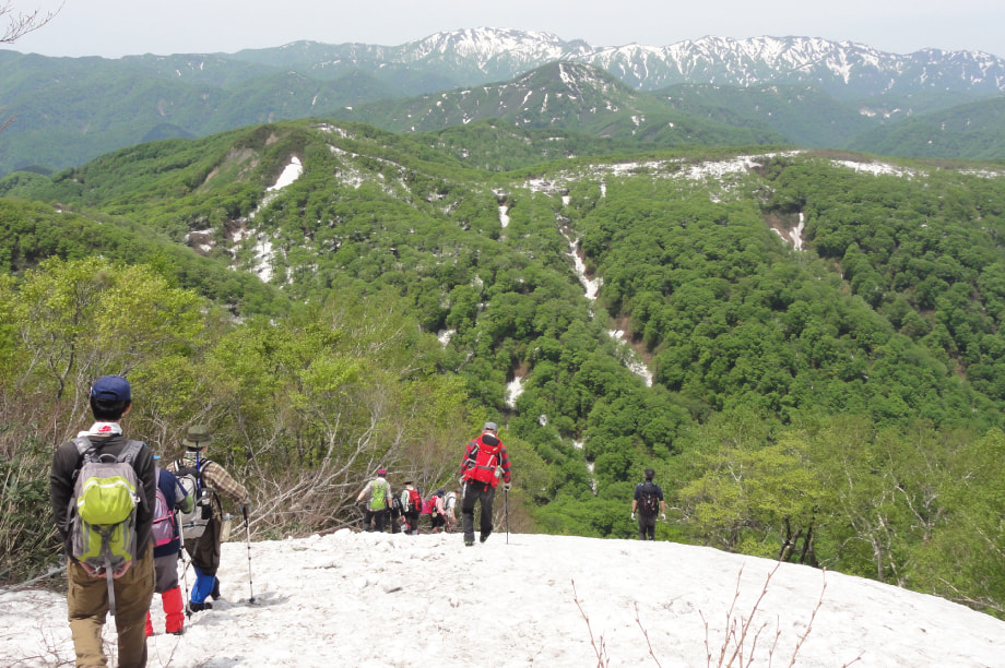～海と山と人とが元気に～