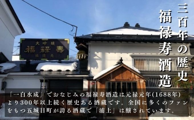 【生酒】純米吟醸無濾過原酒 にごり酒「浦城 雪景色」「赤浦城 雪景色」「青浦城 雪景色」飲み比べ3本セット　720ml 各1本