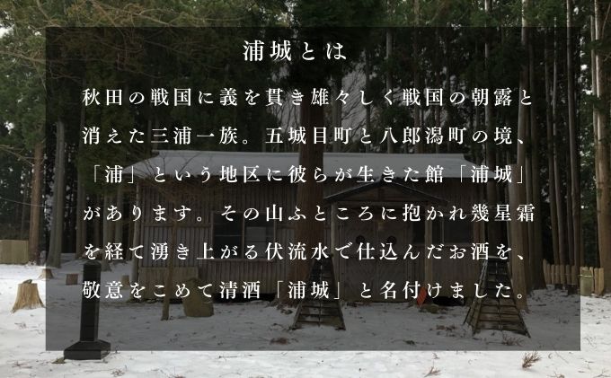 【生酒】純米吟醸無濾過原酒「青浦城 雪景色（にごり酒）」720ml×1本