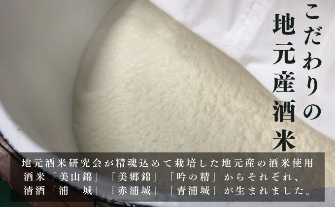 にごり本生原酒「浦城」雪景色720ml×1本 純米吟醸 お酒 日本酒 純米吟醸酒 