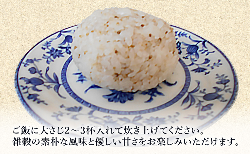 五城目町産 アワ １kg 雑穀 雑穀米 秋田県産 お米 ご飯 ライス