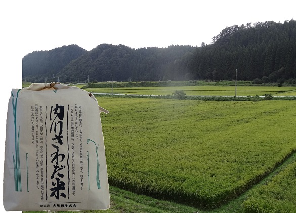 内川さわだ米(あきたこまち精米)5kg 秋田県五城目町産