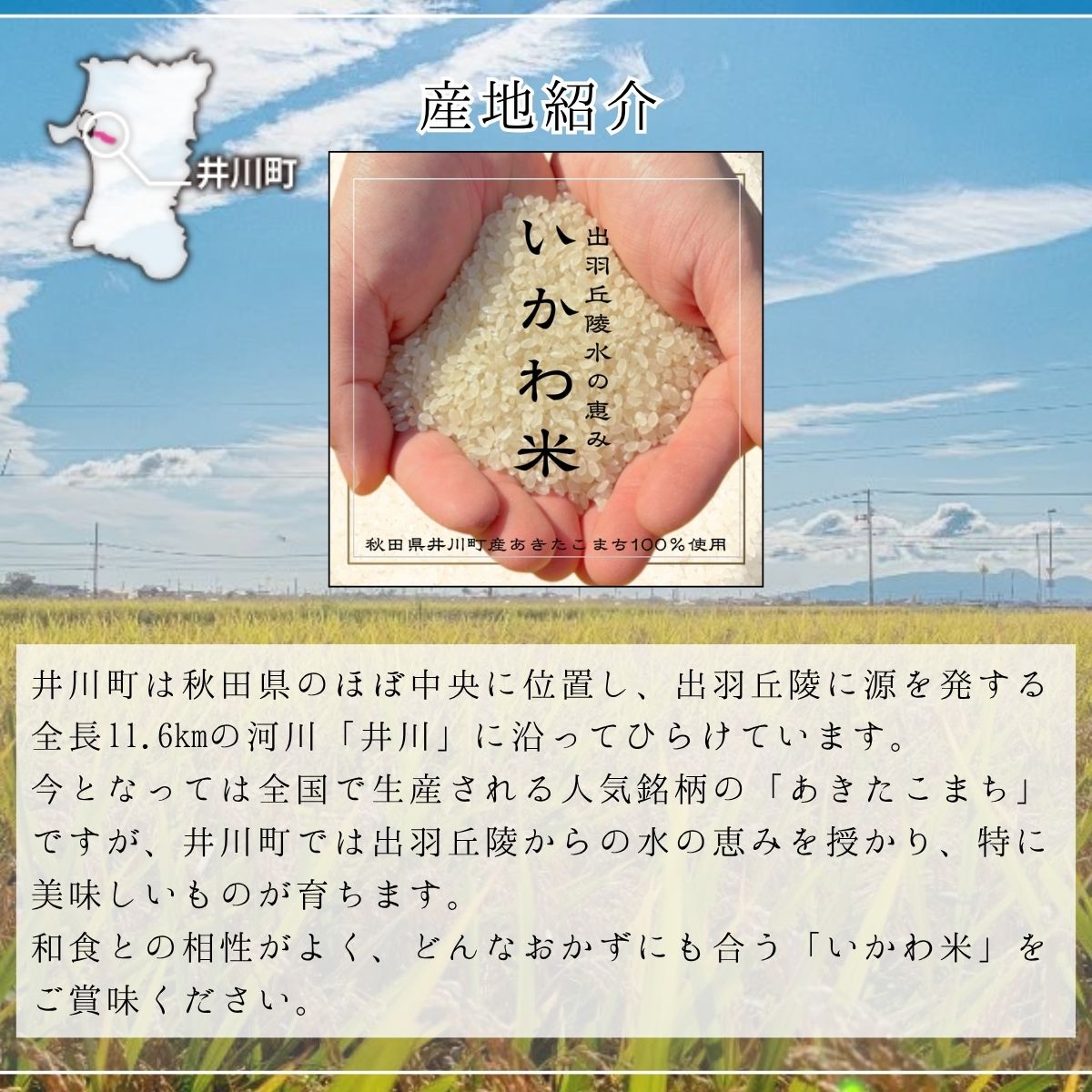 【令和8年産 新米 先行受付】【定期便】あきたこまち 精米 10㎏×3か月