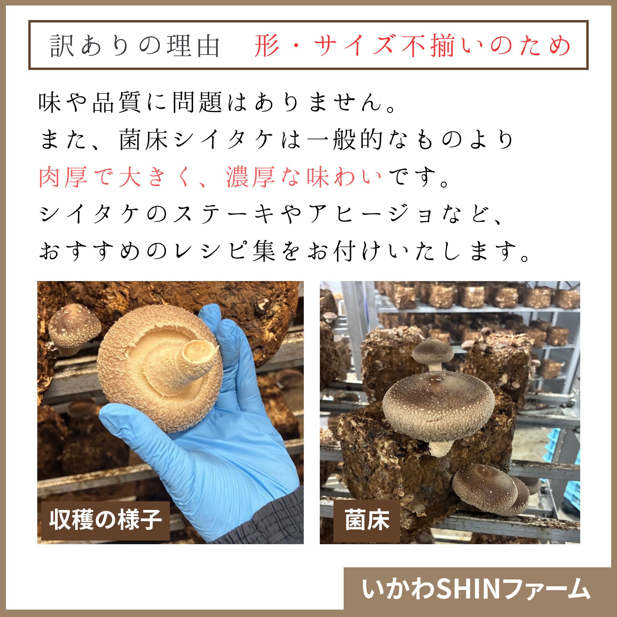 逕溘@縺縺溘¢ 1.2kg 闖悟コ 縺励>縺溘¢ 險ウ縺ゅj