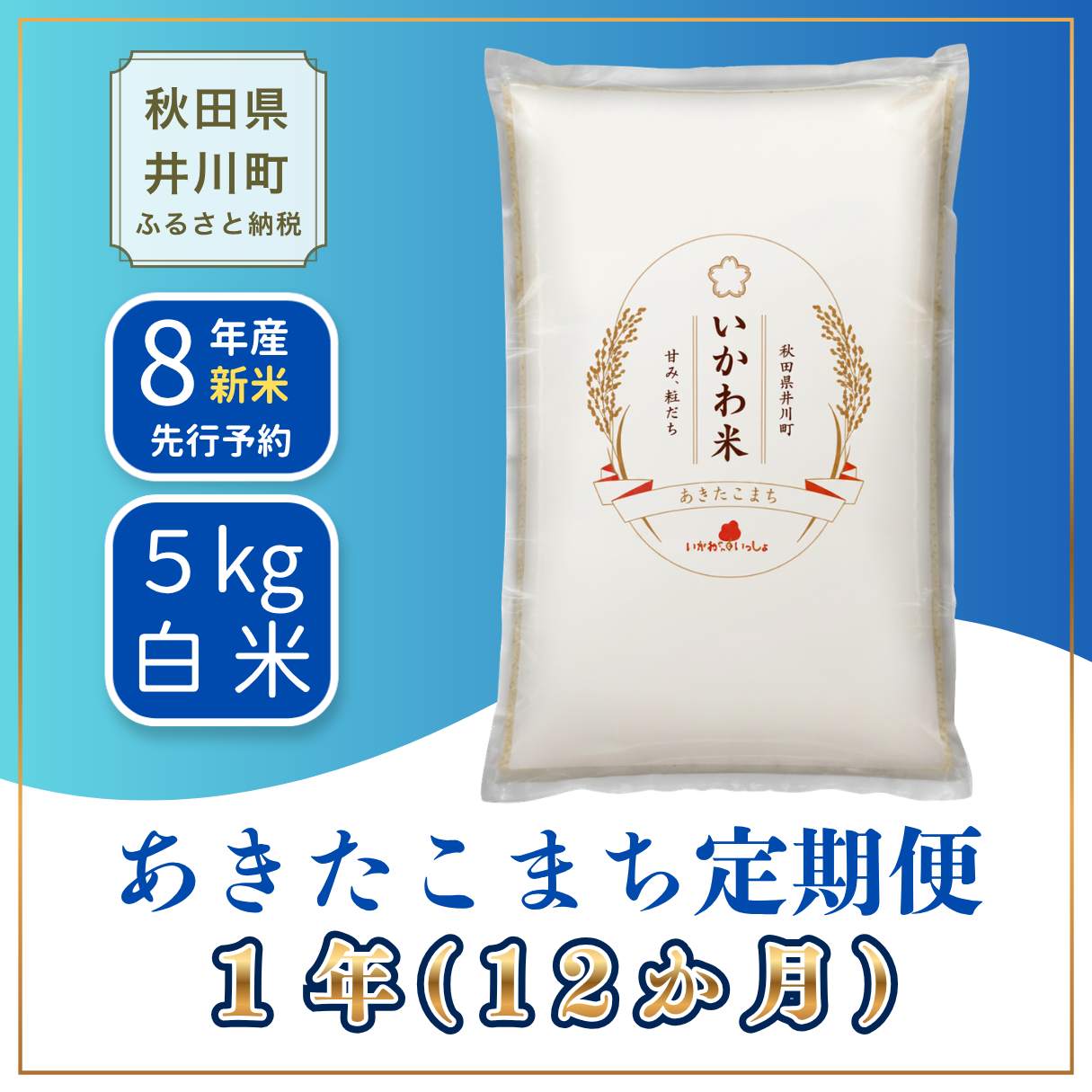 【12か月定期便】あきたこまち 5kg 令和8年産 白米 あきたこまち 【新米先行予約】
