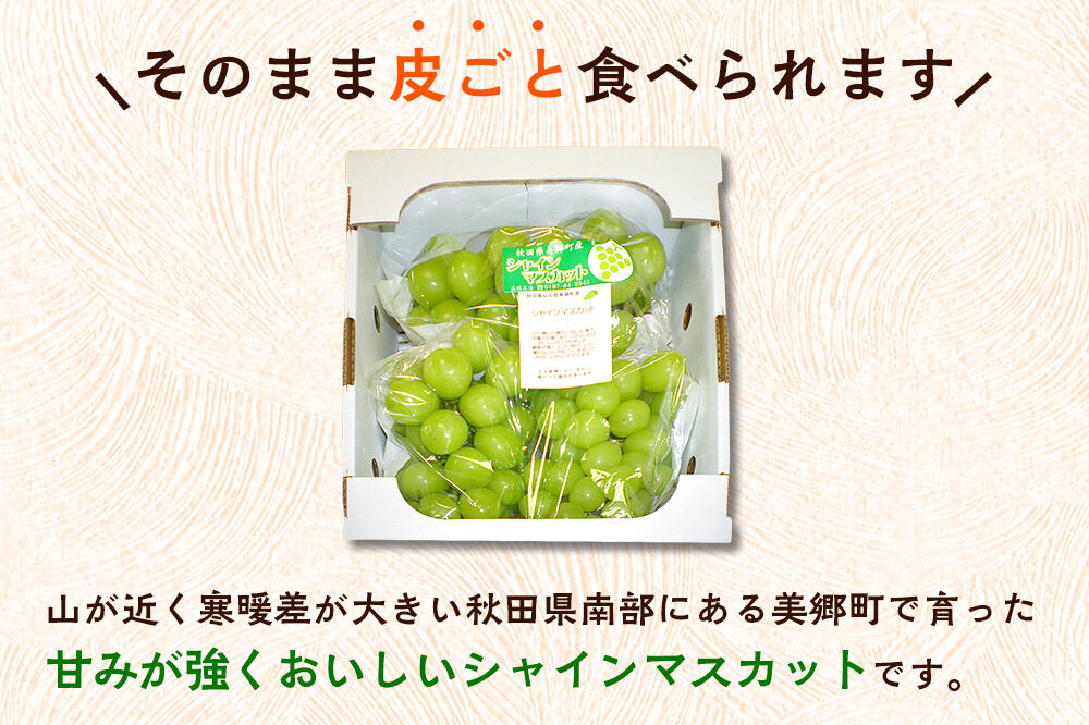 【先行受付】シャインマスカット 約2kg [ぶどう 葡萄 ブドウ シャインマスカットの返礼品]